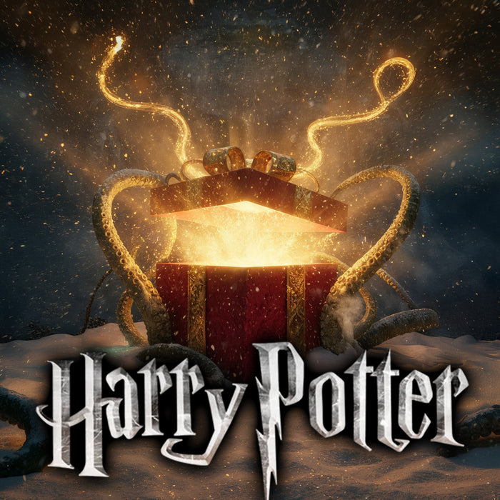 productImage-23099-nerdige-weihnachtsgeschenke-harry-potter.jpg