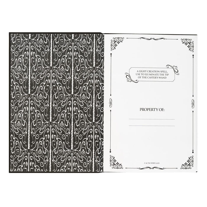 Harry Potter Lumos notebook with wand