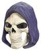 Masque Masters of the Universe Skeletor avec lumière et son